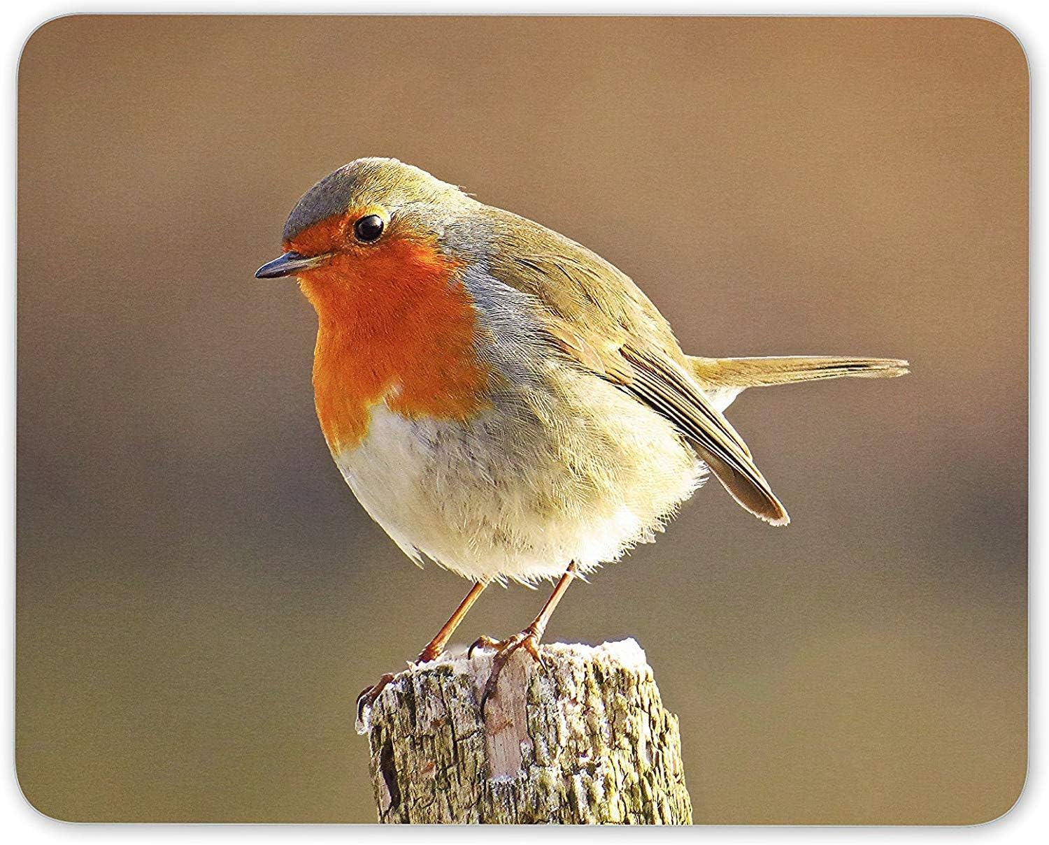 Cute Robin Redbreast Bird Mouse Mat Pad - British UK Birds Gift Computer #8701