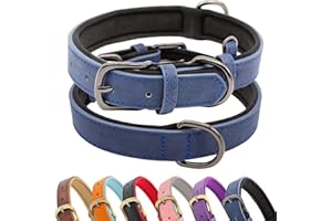HSIGIO Padded Leather Dog Collar, Soft Breathable Adjustable Waterproof Dog Collar Leather with Durable Metal Buckle for Smal