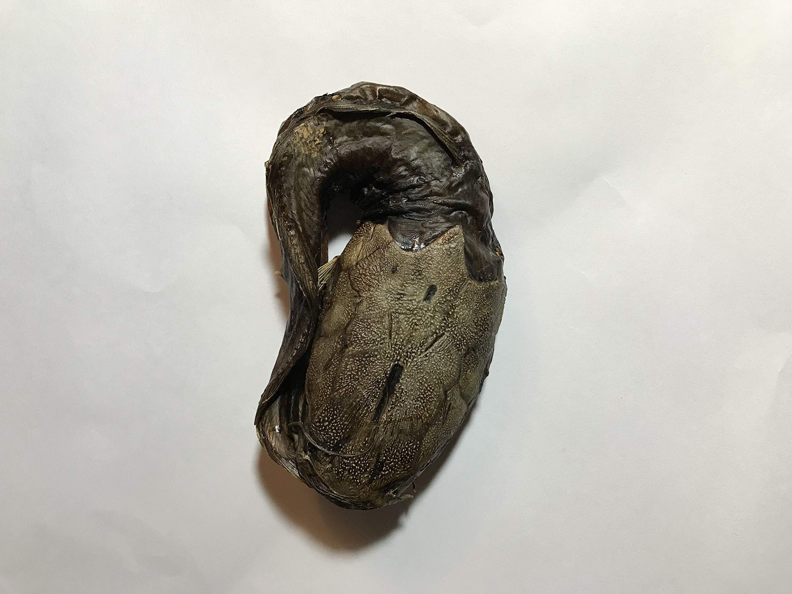 African Dried Whole Coiled Smoked Catfish (Large)