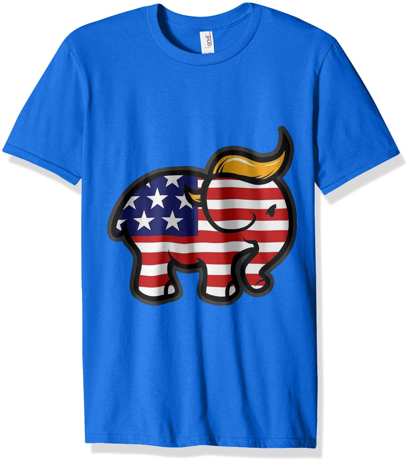 Trump felony sentencing