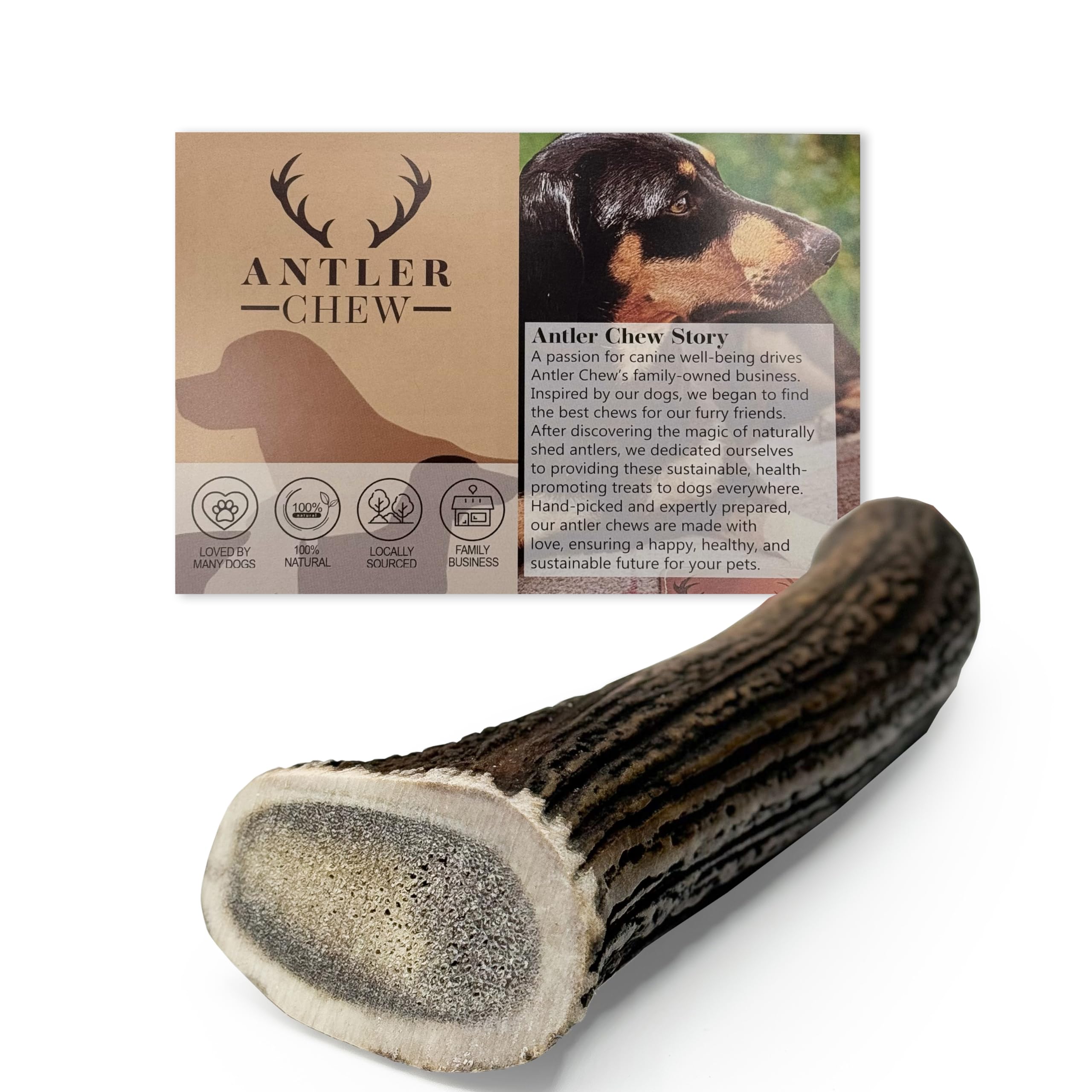 Antler Chew – Large Antler Dog Chew (130–180g, From 13cm) | Naturally Shed & Sanded | Long-Lasting, Odourless Chew for Moderate Chewers | Supports Dental Health