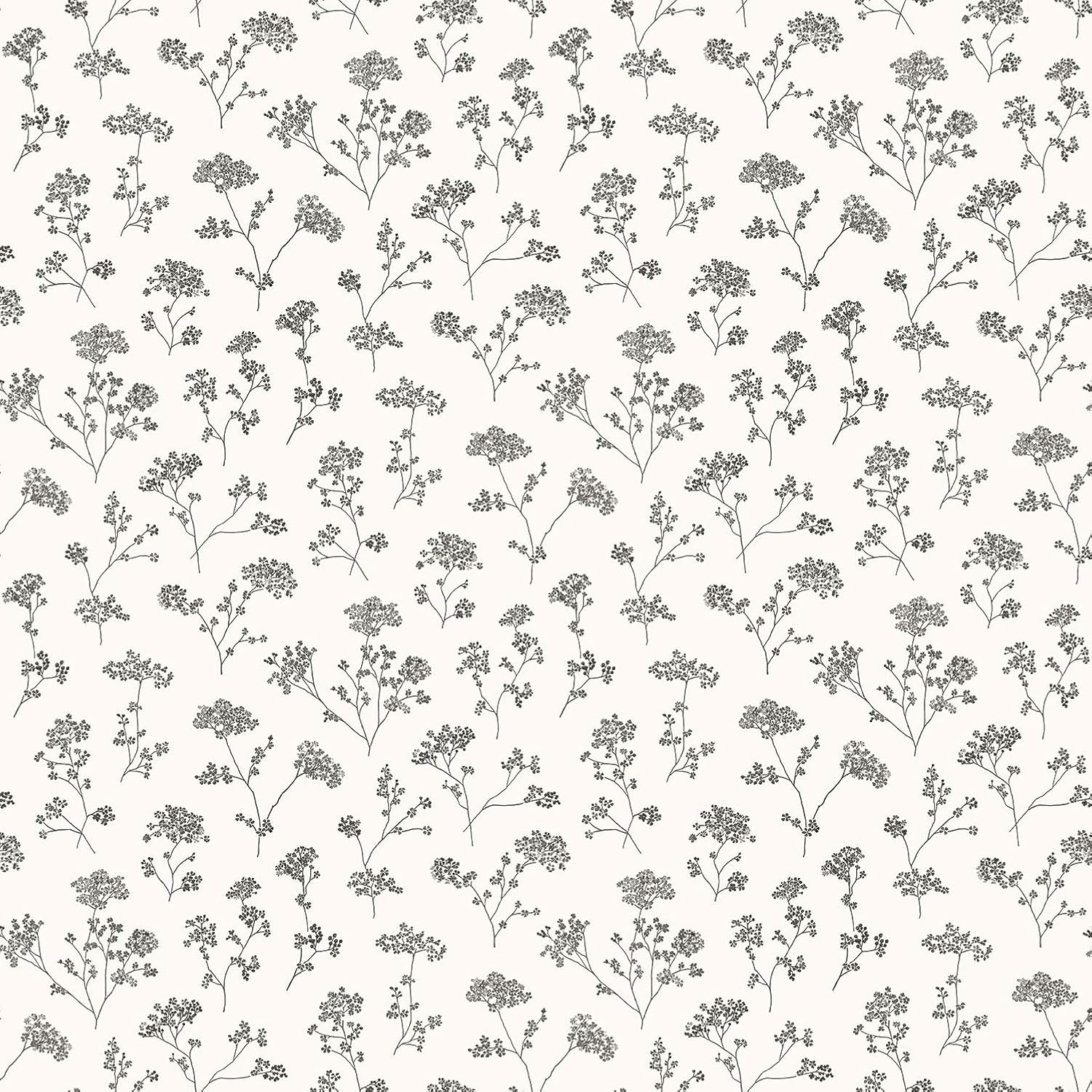 Galerie G67870 Miniatures 2 Cow Parsley Flower Design Wallpaper, Black/White, 10m x 53cm