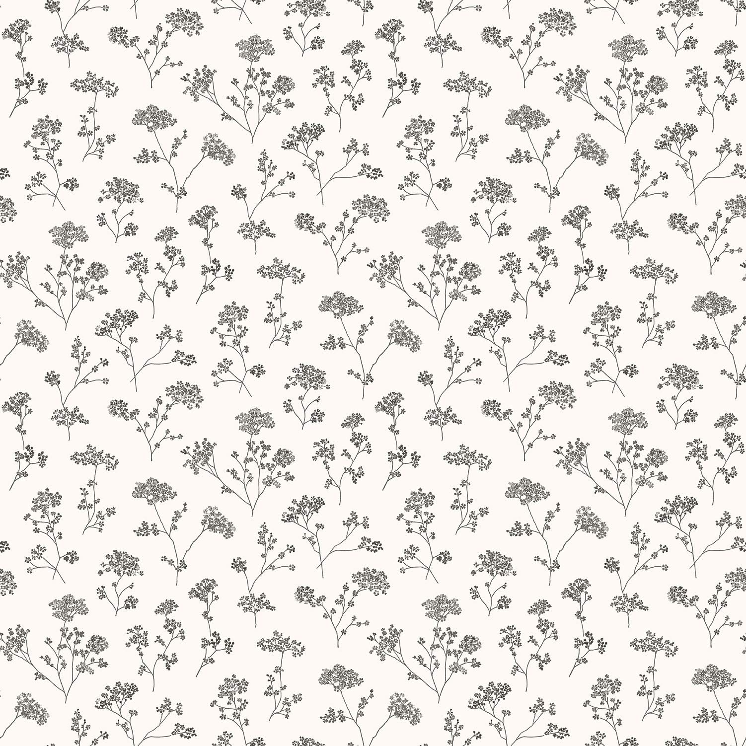 Galerie G67870 Miniatures 2 Cow Parsley Flower Design Wallpaper, Black/White, 10m x 53cm