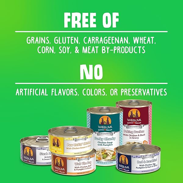 WERUVA CLASSIC DOG FOOD, GRANDMA’S CHICKEN SOUP WITH CHICKEN BREAST & VEGGIES, 14OZ CAN (PACK OF 12), TEAL (878408004568)
