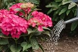 Westland Hydrangea Colourant 500 g Blue for Pale to Mauve Hydrangeas view 5