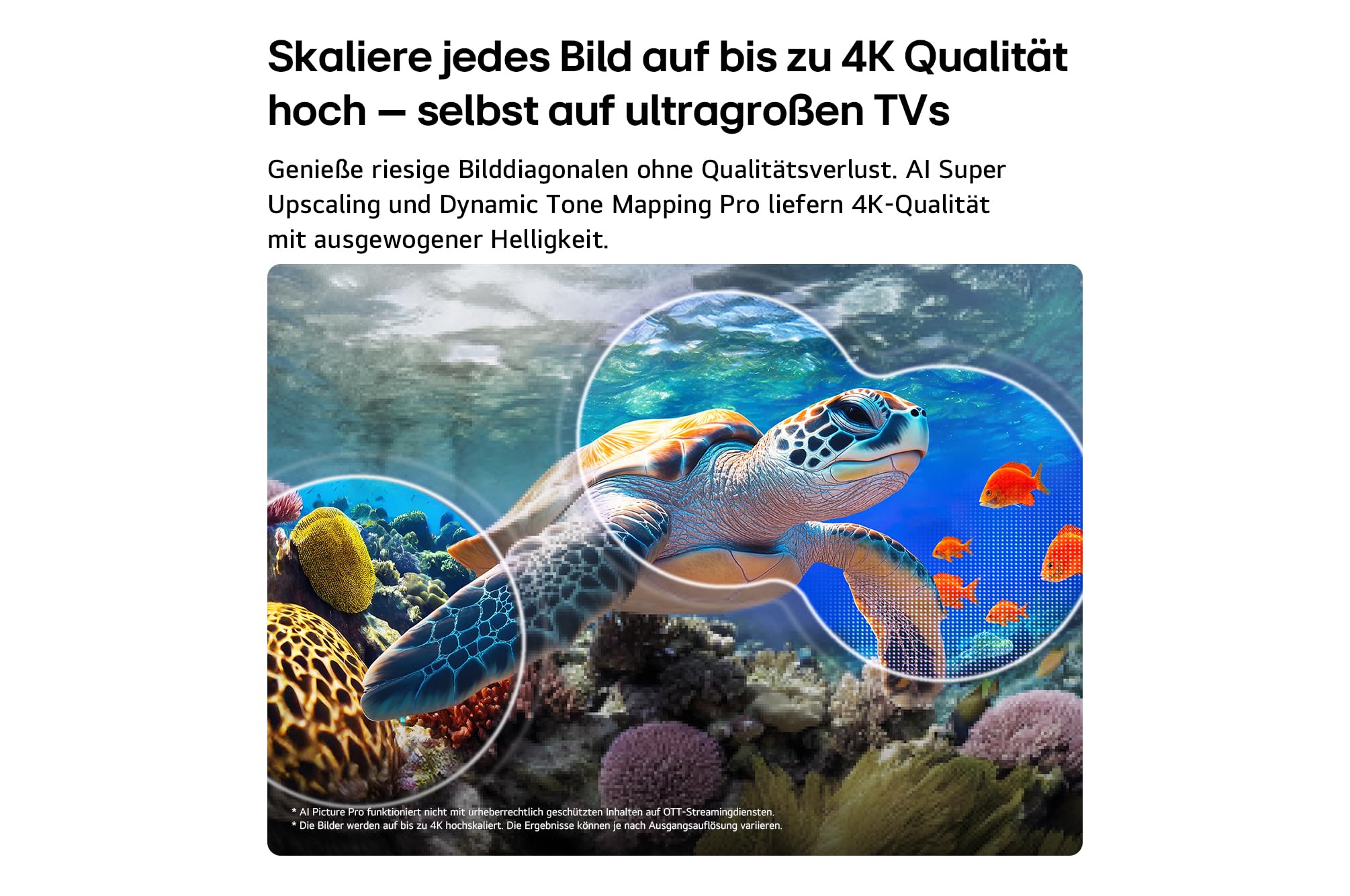 LG 75QNED83B6A TV 75 Zoll (190 cm) 4K QNED evo Mini LED AI TV (α8 Gen3 4K AI Prozessor, webOS 26, 120Hz (VRR bis zu 144Hz)) [Modelljahr 2026] [Energieklasse F] 6