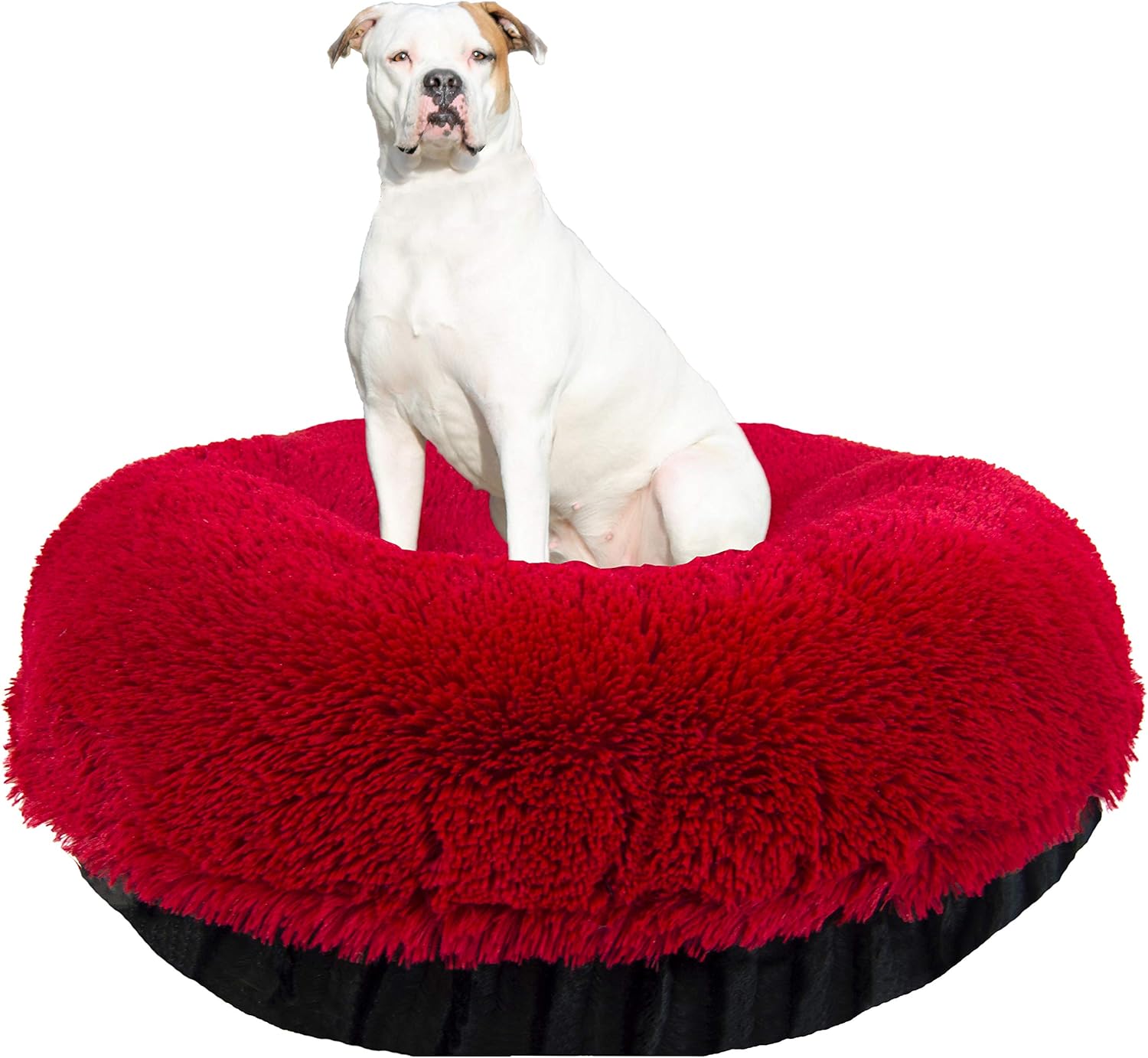 Best bessie and barnie bed lg