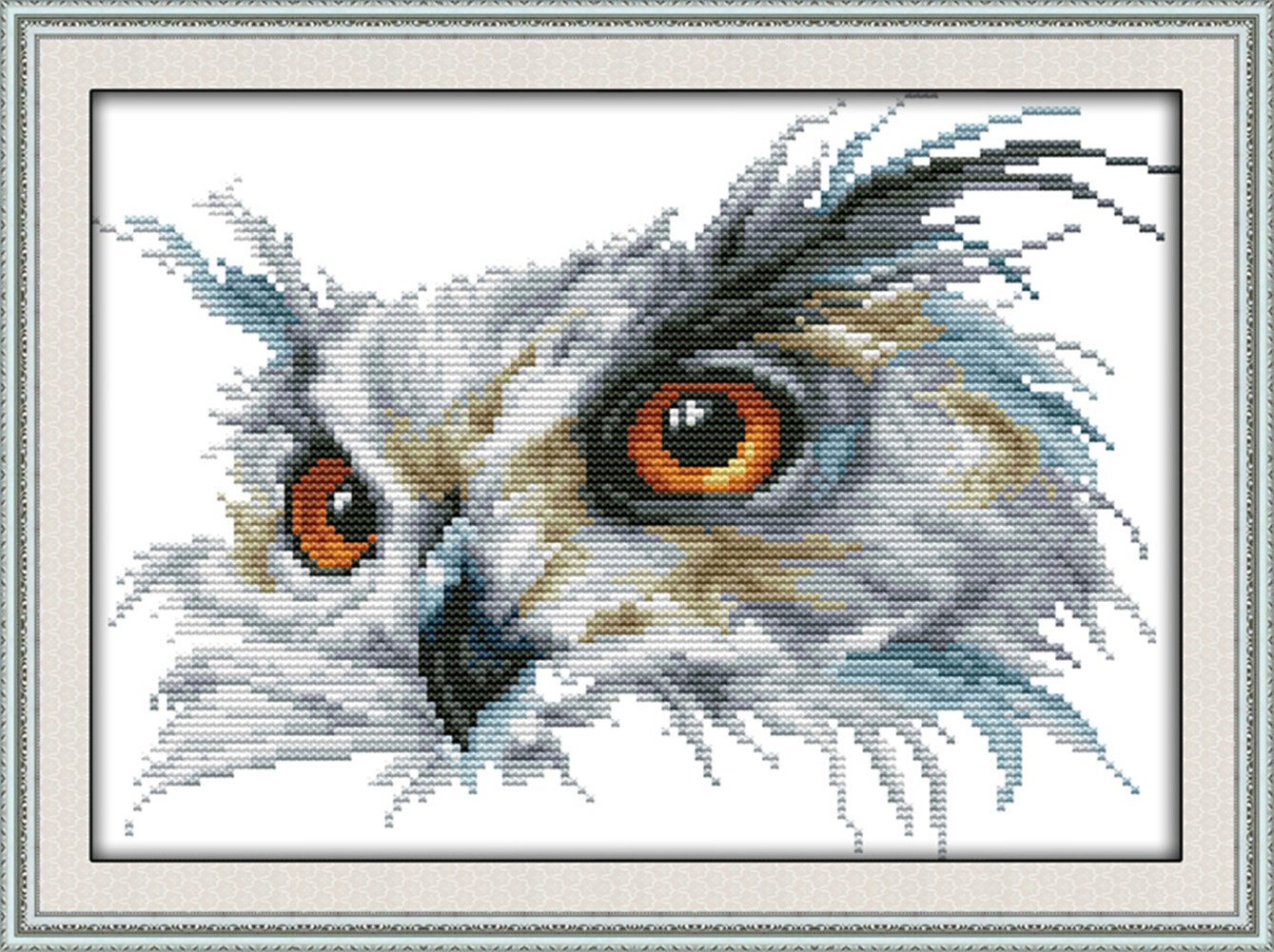 CaptainCrafts Cross Stitch Kits, Owl Counted Cross Stitch Unpreprinted Fabric Cross Stitch DMC DIY Art Embroidery Kits (Unpreprinted 14CT, Owl)