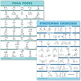 Palace Learning Yoga and Stretching Exercise Posters - 2 Pack Laminated Board Set - Yoga Positions and Stretching [Light] (La