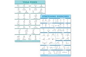 Palace Learning Yoga and Stretching Exercise Posters - 2 Pack Laminated Board Set - Yoga Positions and Stretching [Light] (La