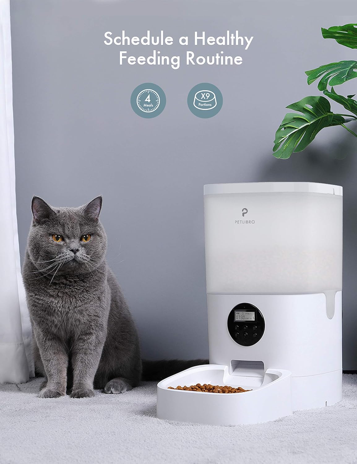 Pet Supplies : PETLIBRO Automatic Cat Feeder, Transnsparent Timed Cat Feeder with Desiccant Bag for Dry Food, Programmable Portion Control 1-4 Meals per Day & 10s Voice Recorder for Small/Medium Pets (6L) : 