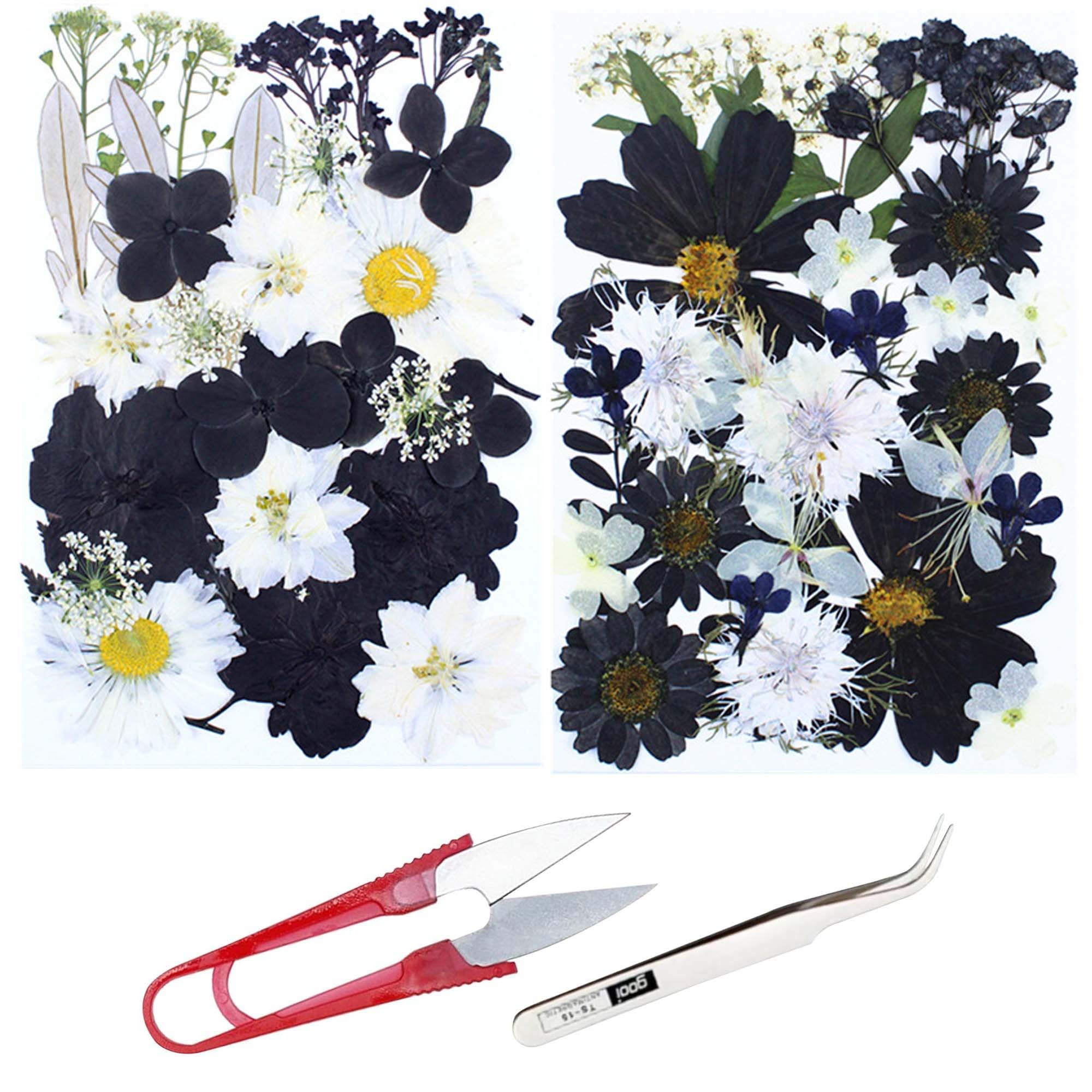 Cayway 2 Pack Pressed Flowers Natural Dried Flowers Black Resin Flowers Real Pressed Flowers with Butterfly Sticker for Resin Scrapbook DIY Art Crafts, Epoxy Resin Jewelry Supplies, Style D