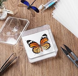 Making Insect Specimen Tools Kit, Insect