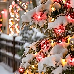 C9 LED Christmas String Lights Outdoor, 26 Feet 20