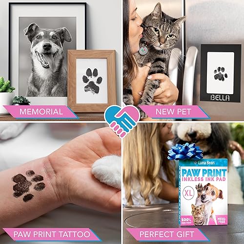 Luna Bean Paw Print Kit Mess-Free Paw Print Stamp Pad for Dogs