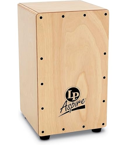 Amazon.com: Schlagwerk CP401 Hip Box Junior Snare Cajon : Musical