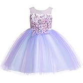 Weileenice Flower Girls Lace Bridesmaid Dress Rainbow Tulle 3D Embroidery Princess Pageant Wedding Party Dresses