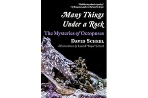 Many Things Under a Rock: The Mysteries of Octopuses