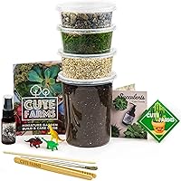 Cute Farms Terrarium Starter Kit | Moss, Vermiculite, Soil, Pebbles, Plant Food, Finishing Tools, Build and Care Guide | DIY 
