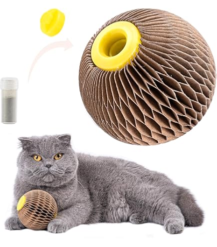 Amazon.com : Cat Ball Toys by Americat  Made in USA  Safe Cardboard Cat  Toys  for Interactive and Independent Play, Exercise & Stress Relief for  All Breeds & Ages (Variety