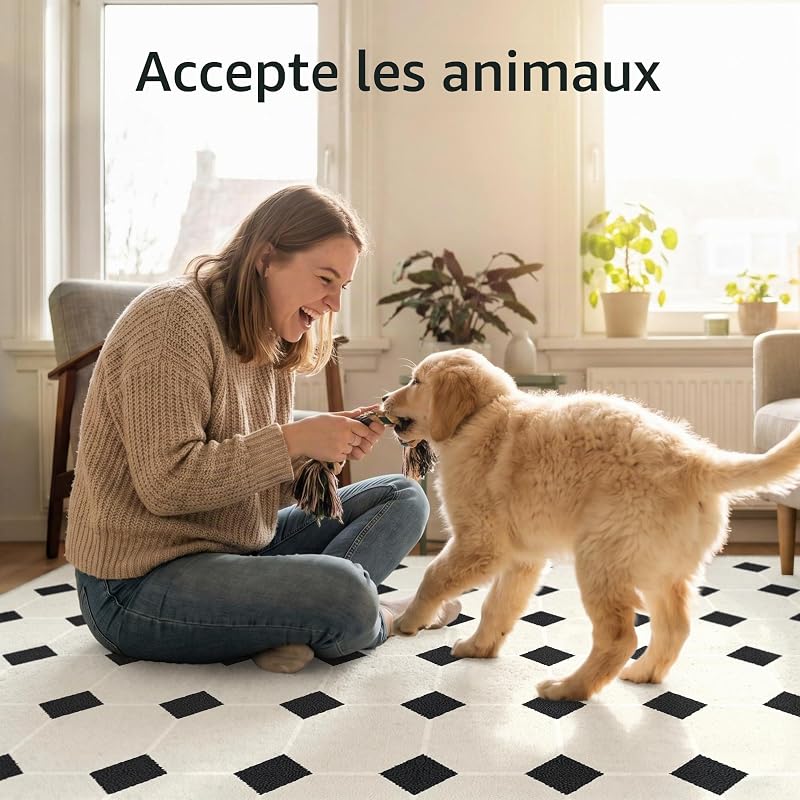 Tapis Moderne Lavable antidérapant 160x230cm Blanc