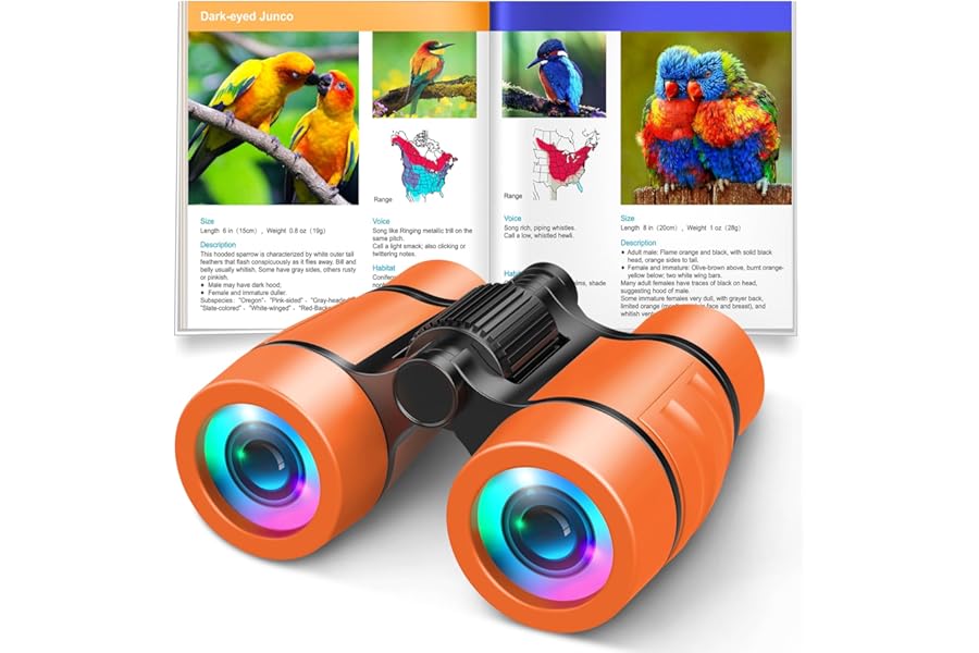3-8 Year Old Boy Girl Toys: LET'S GO! Shockproof Binoculars for Kids Bird Watching 3 4 5 6 7 Year Old Boys Girls Outdoor Trav