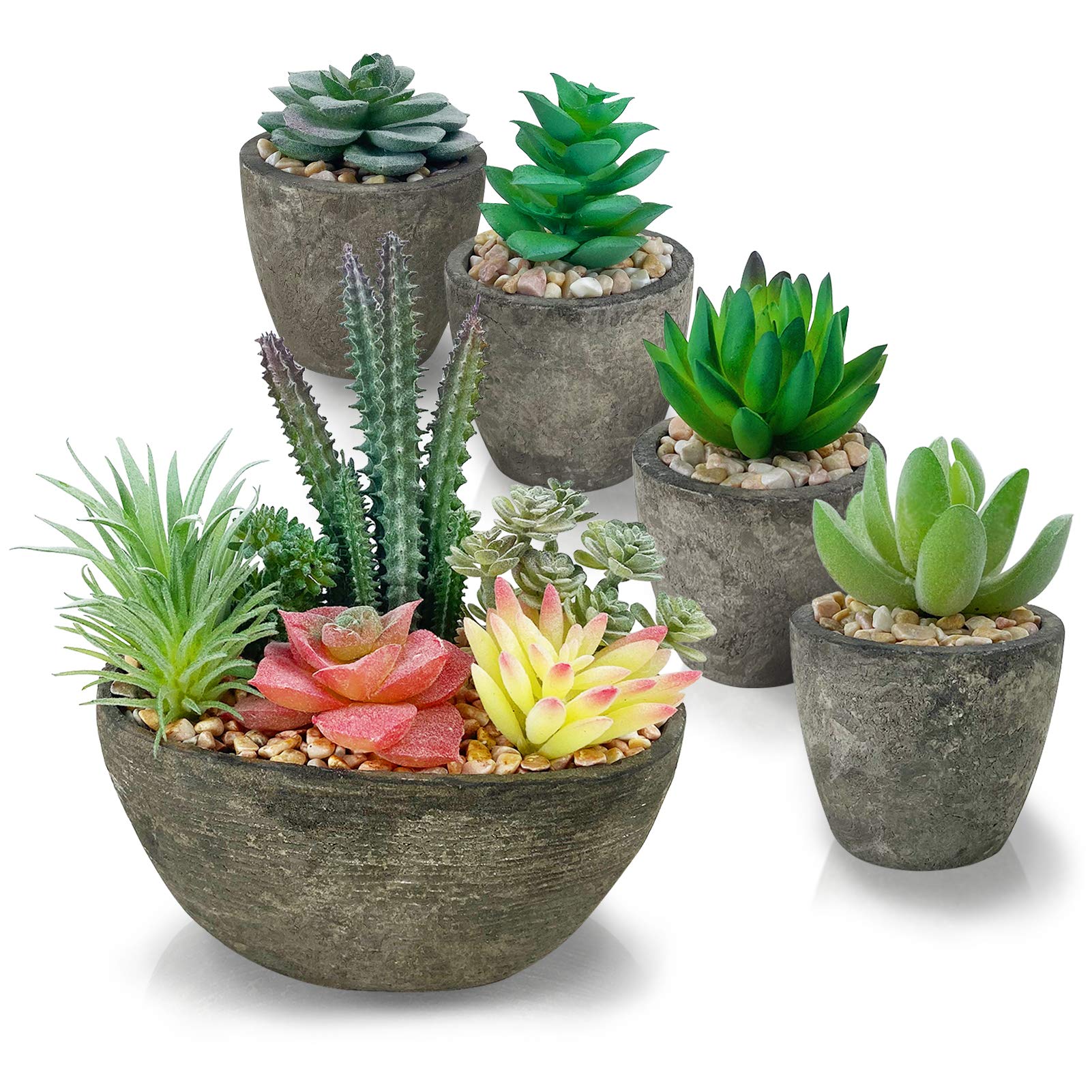 Artificial Succulent Set