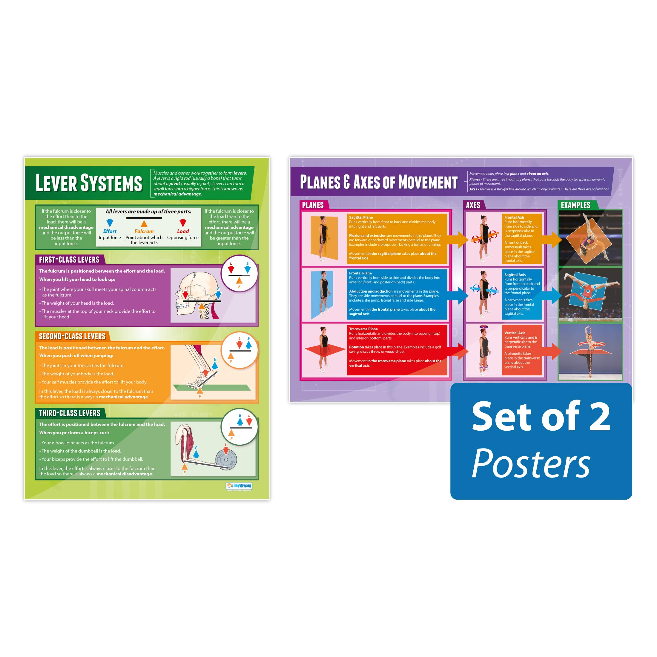 Daydream Education Movement Analysis Posters - Set of 2 | PE Posters | Gloss Paper measuring 850mm x 594mm (A1) | Physical Education Charts for the Classroom | Education Charts