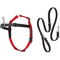 Halti Front Control Harness and Training Lead Combination Pack, Stop Dog Pulling on Walks with Halti, Includes Medium Halti F