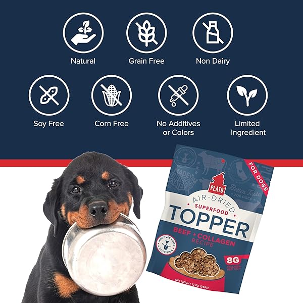 PLATO PET TREATS DOG FOOD TOPPERS – AIR-DRIED DOG FOOD TOPPERS FOR DRY FOOD – WITH COLLAGEN TO SUPPORT SKIN AND COAT HEALTH – BEEF AND COLLAGEN RECIPE 12OZ