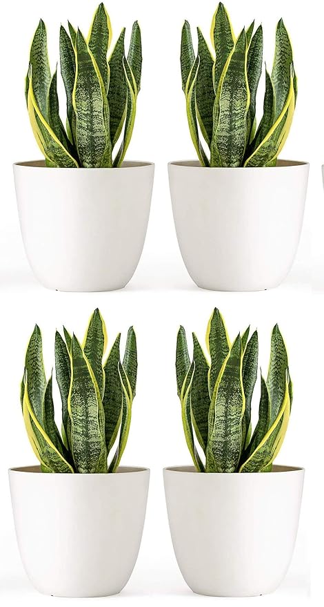 AlexVyan Color White Flower Pot Size 17CM*17CM Heavy Duty Plastic Garden Planters Plant Container Set (Pack of 4, Plastic)