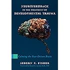 Neurofeedback in the Treatment of Developmental Trauma: Calming the Fear-Driven Brain