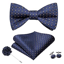 Hi-Tie Navy Gold Plaid Ties and Self-tied Bowtie