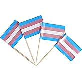 JBCD Transgender Trans Pride Toothpick Flag Mini Small LGBT Cupcake Topper Flags, 200pcs