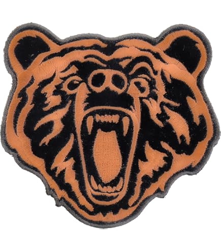 White Sox Patch Iron On Sew On Embroidered Patches For Jacket Shirts