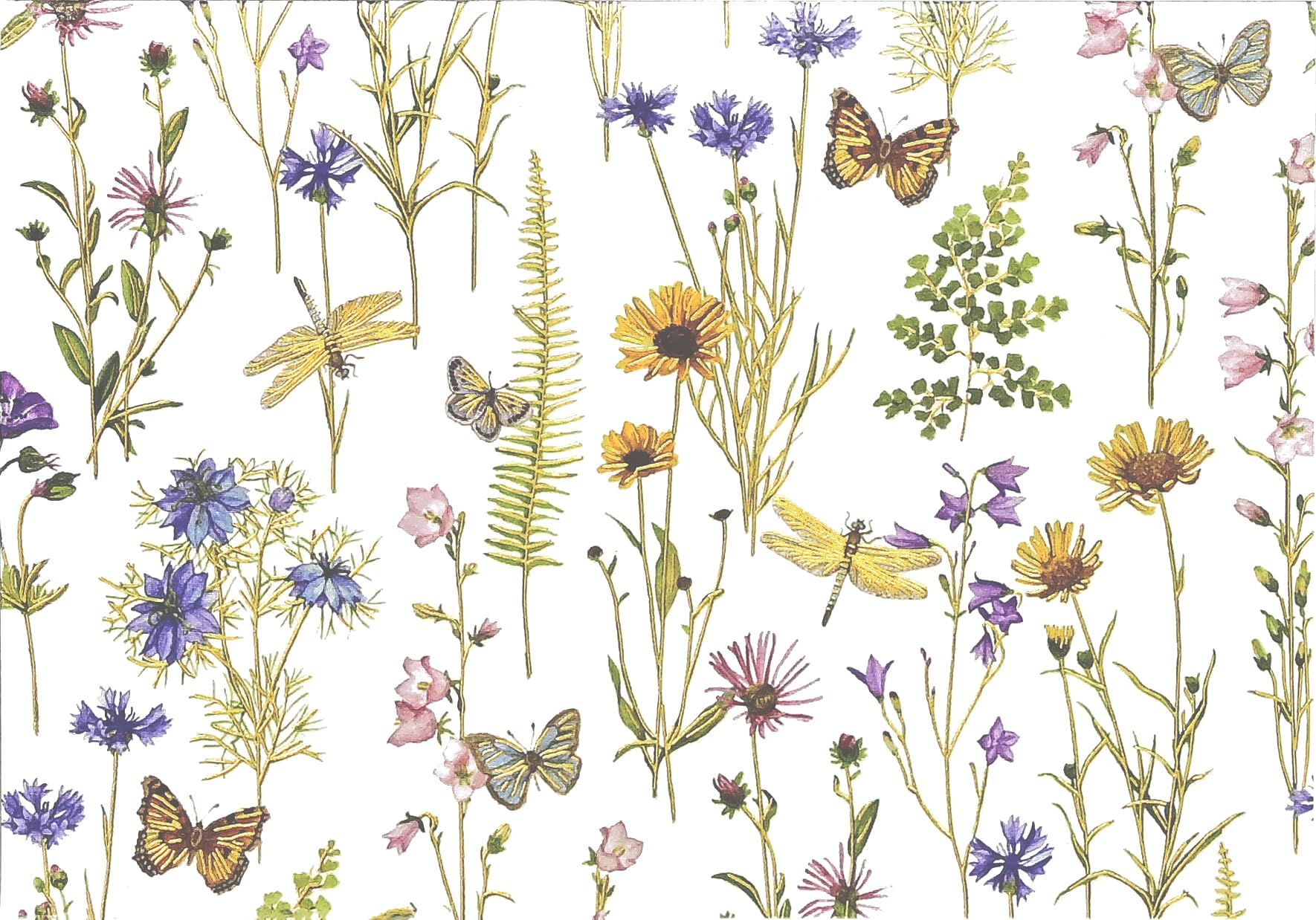 Wildflower Garden Note Cards (14 cards, 15 self-sealing envelopes)