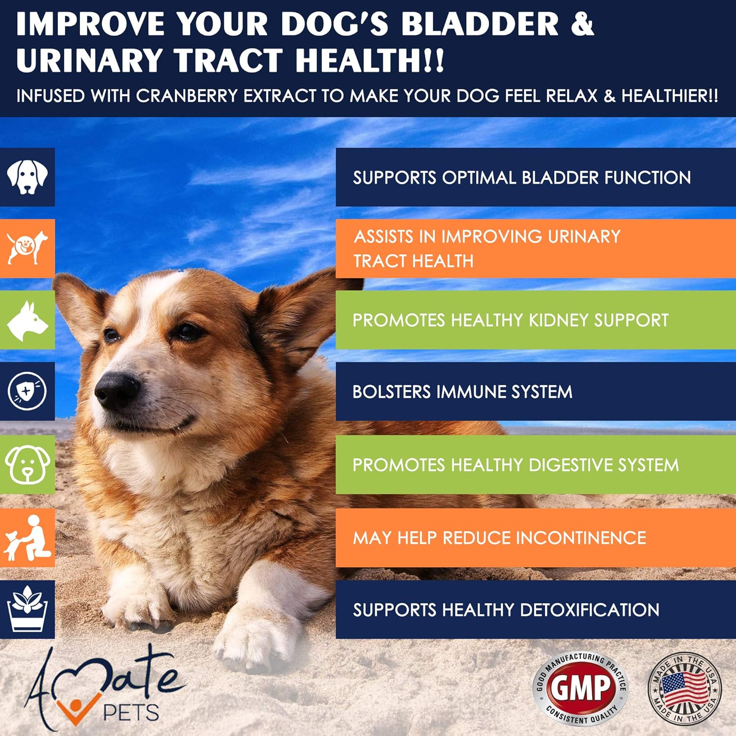 quay pets & aquatics