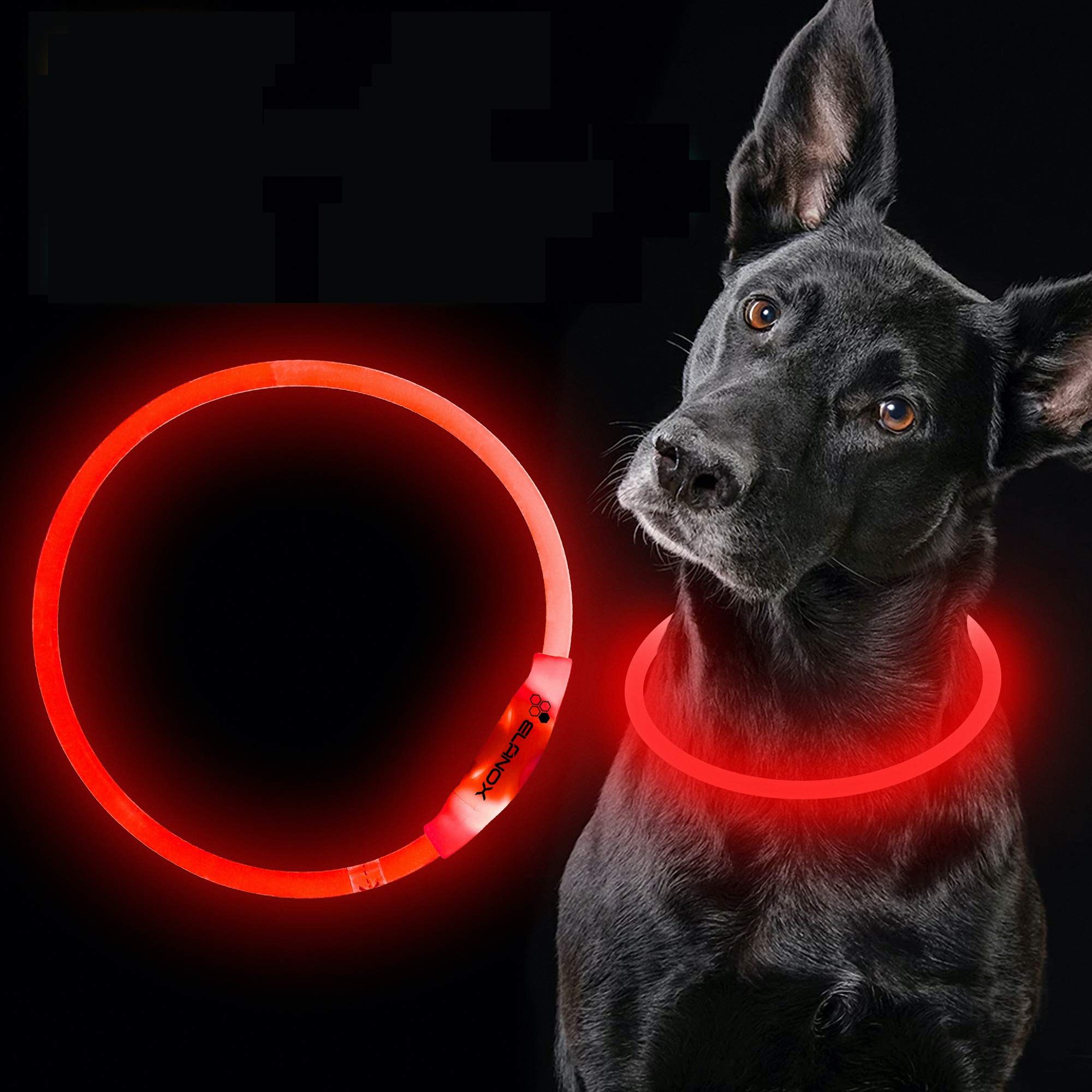 ELANOX LED Dog Collar Rechargeable USB Universal Size Light Collar (Red)