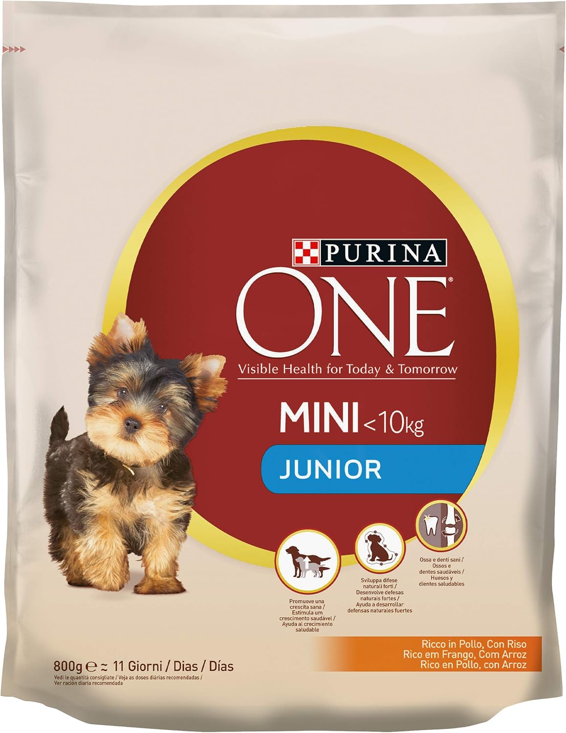 purina one mini dog