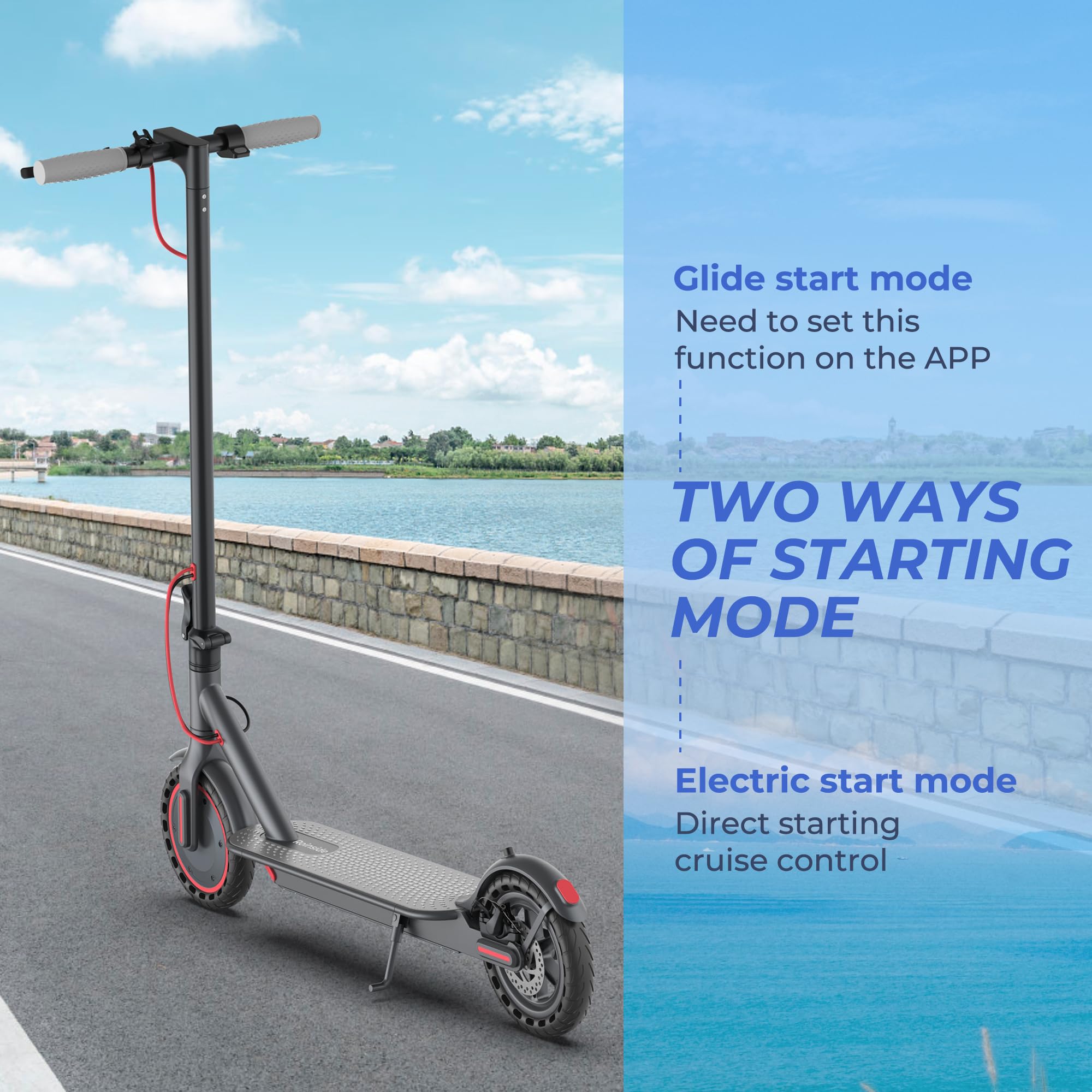 Roinside Electric Scooter - 8.5