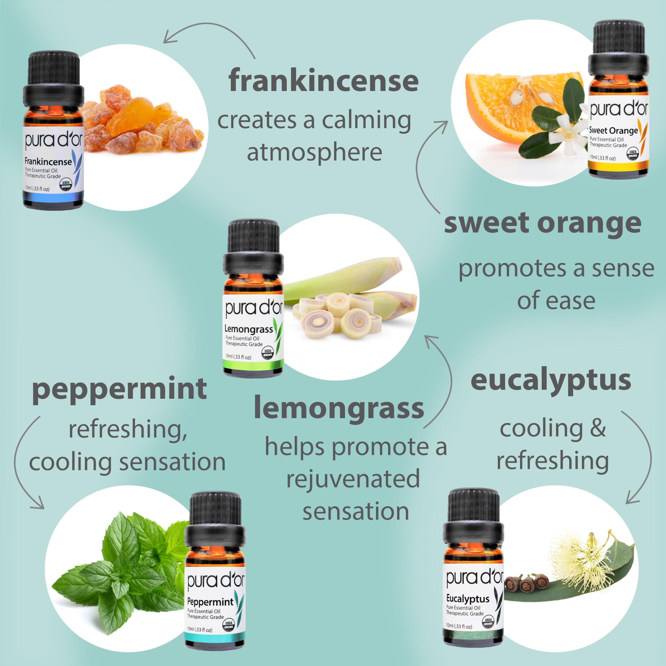 PURA D'OR Organic Perfect10 Essential Oils Set - 10x 10mL Wood Box Aromatherapy Gift Set - 100% Pure Therapeutic Grade for Relaxation and Wellness (Lavender, Peppermint, Eucalyptus, Tea Tree & More)