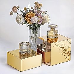 Gold Acrylic Mirrored Risers Display Stands, 4Pcs