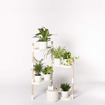 Citysens - Estantería para Plantas con riego automático, Blanca, 4 ...