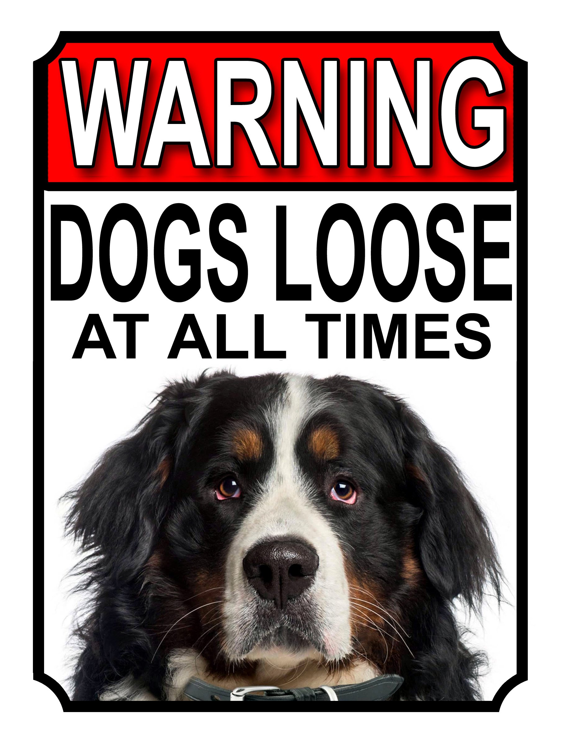 SHAWPRINT WARNING DOGS LOOSE AT ALL TIMES METAL GATE SIGN BERNESE MOUNTAIN DOG 200MM X 150MM (1241H1) — image 1