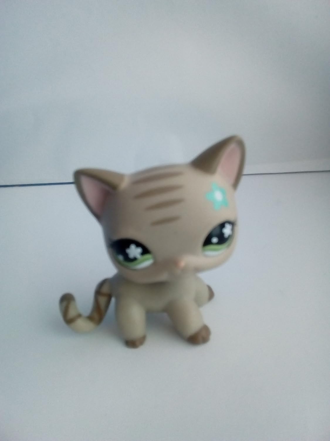 lps sitting down cat