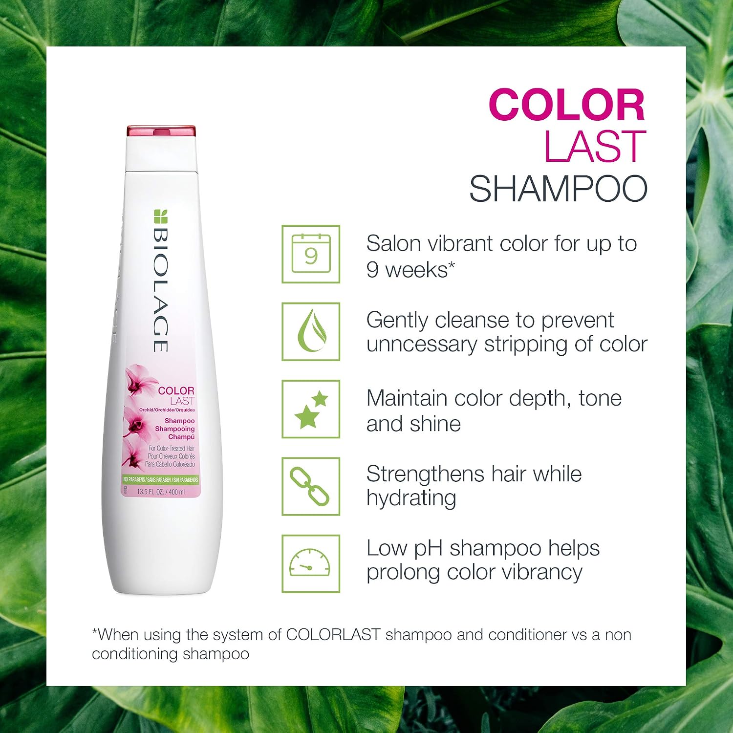 Matrix COLORL SH 1L, No Color, 1 l (Pack of 1) - Image 4