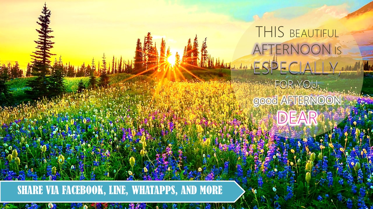 Amazon.com: Good Morning, Afternoon, Evening, Goodnight in English