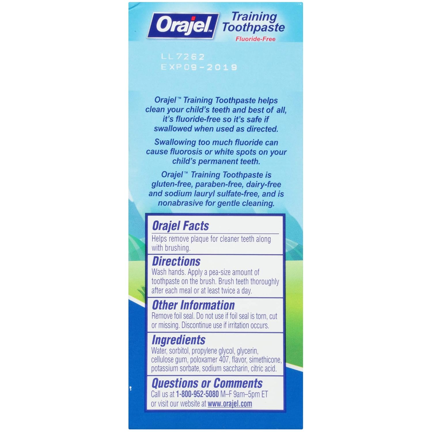 Orajel PAW Patrol Fluoride-Free Training Toothpaste, Fruity Fun, 1.5 oz. : Toothpaste Baby : Grocery & Gourmet Food