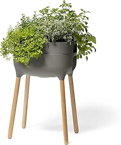Alfresco Home 614-1716 Urbalive Raised FSC Hardwood Legs-Anthracite Finish Self Watering Planter, Grey
