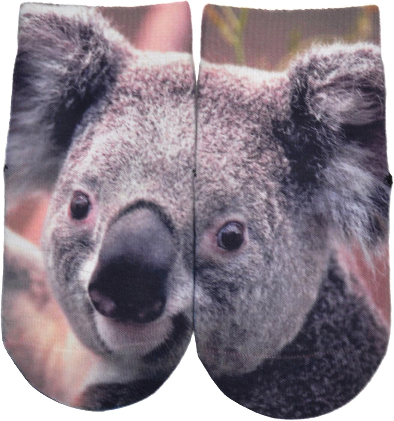 koala baby socks